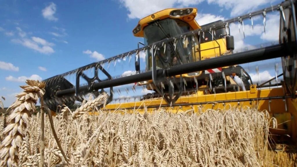 La Bolsa de Rosario afirmó que la baja de retenciones mejora la rentabilidad del trigo y la&nbsp;cebada